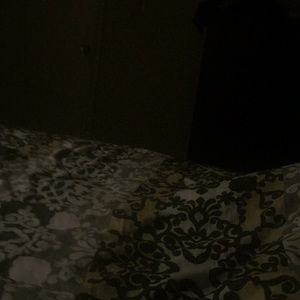 Meet your Posher, Rocio